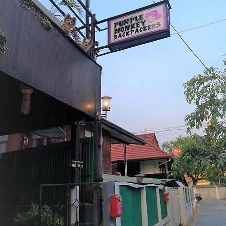 Purple Monkey Backpackers Chiang Mai Hostel Luaran gambar